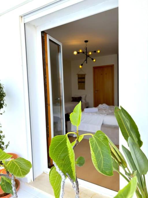 Nazare Boutique W Sea View And Private Rooftop Terace 外观 照片
